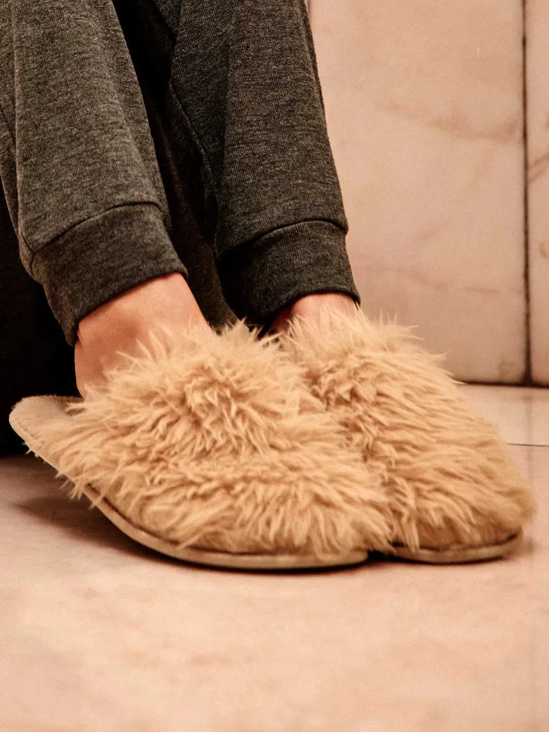 Zapatillas de casa