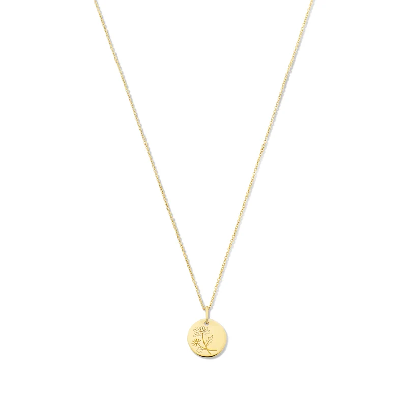Violet Hamden Venus 925 Sterling Zilveren Gold Plated Ketting met Geboortebloem VH340025-JAN