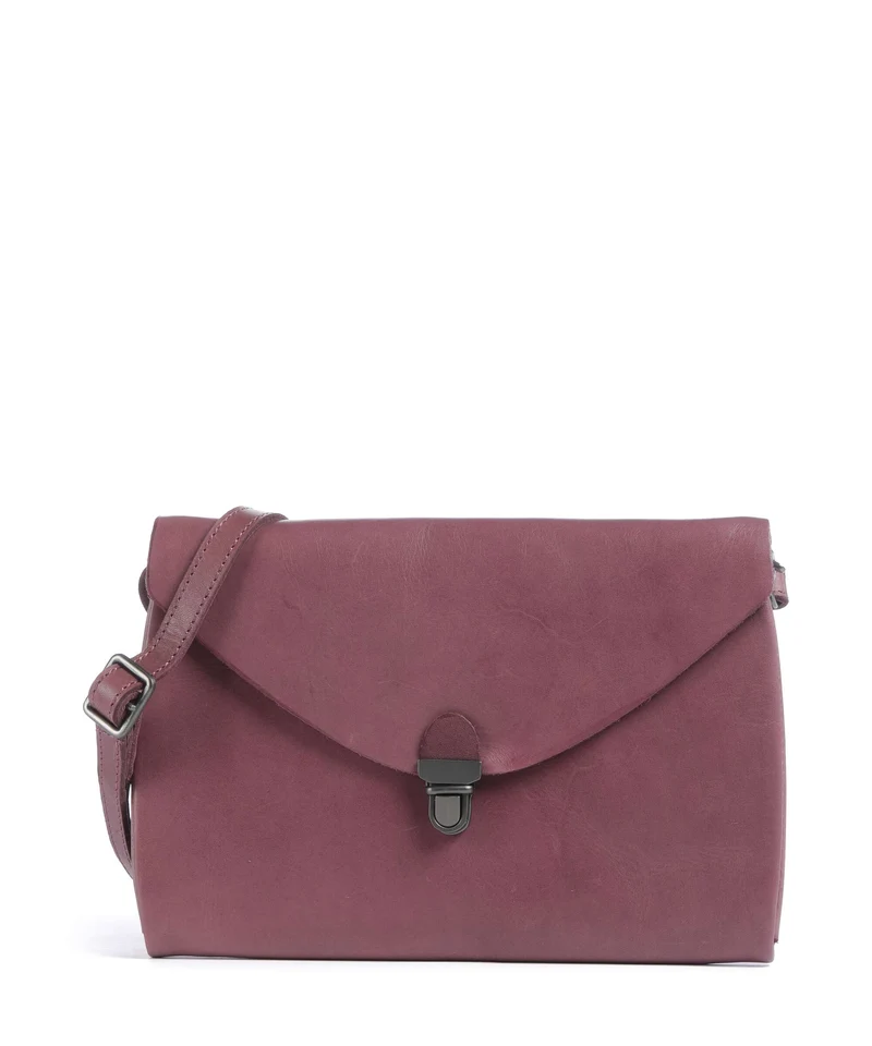 Harold's Fold Bandolera grape