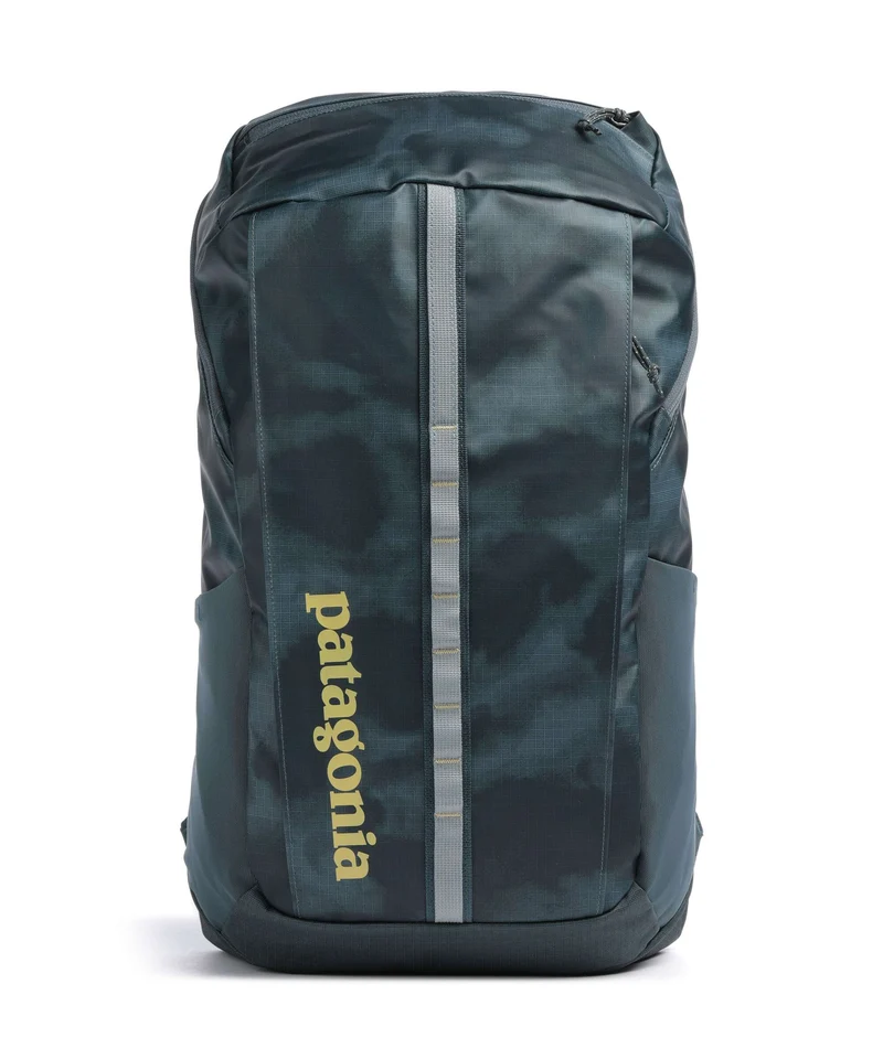 Patagonia Black Hole 25 Mochila sastrugi/summit blue